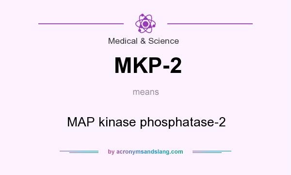What does MKP-2 mean? It stands for MAP kinase phosphatase-2