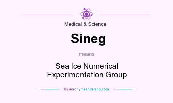 What does Sineg mean? It stands for Sea Ice Numerical Experimentation Group