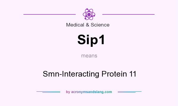 What does Sip1 mean? It stands for Smn-Interacting Protein 11