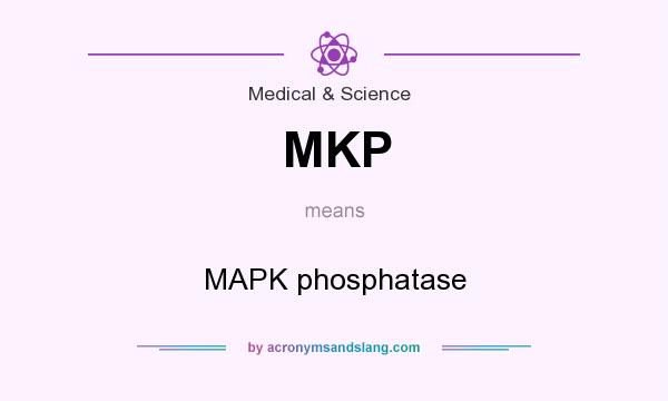 What does MKP mean? It stands for MAPK phosphatase