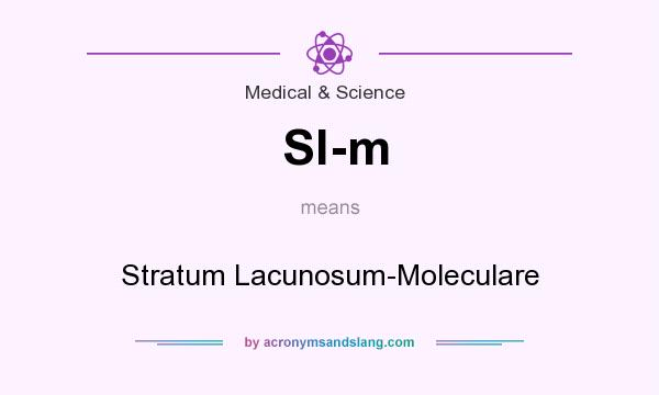 What does Sl-m mean? It stands for Stratum Lacunosum-Moleculare