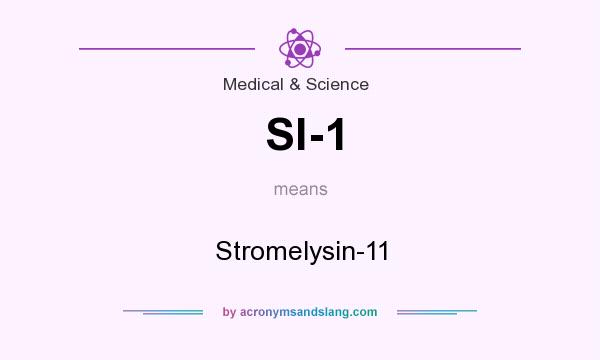 What does Sl-1 mean? It stands for Stromelysin-11