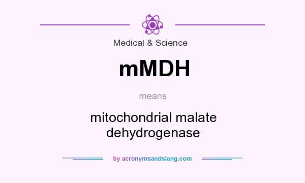 What does mMDH mean? It stands for mitochondrial malate dehydrogenase