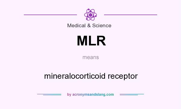 What does MLR mean? It stands for mineralocorticoid receptor