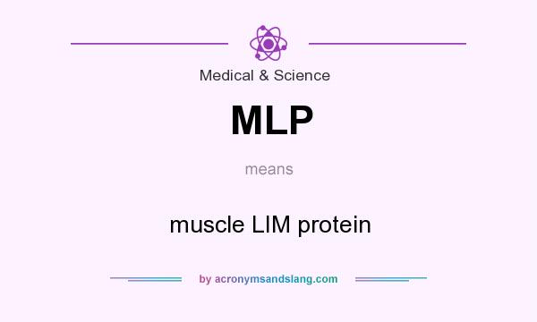 What does MLP mean? It stands for muscle LIM protein