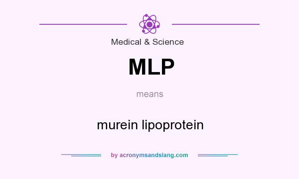 What does MLP mean? It stands for murein lipoprotein
