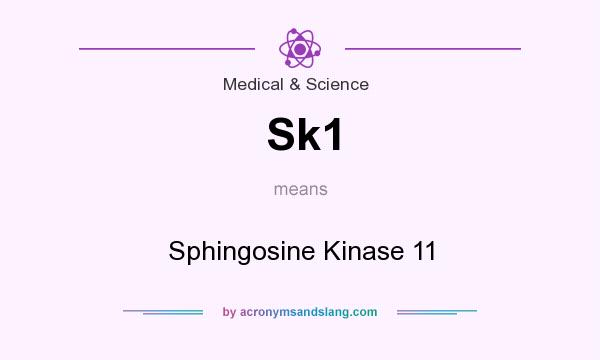 What does Sk1 mean? It stands for Sphingosine Kinase 11