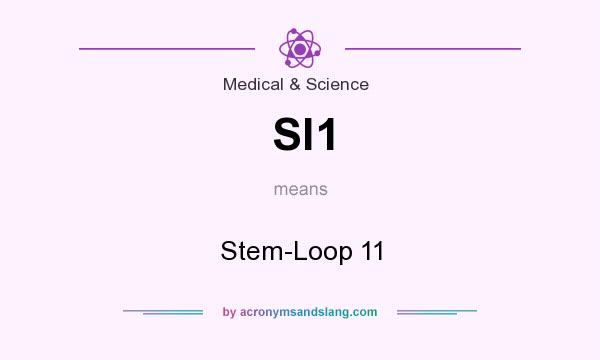 What does Sl1 mean? It stands for Stem-Loop 11