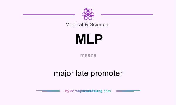 What does MLP mean? It stands for major late promoter