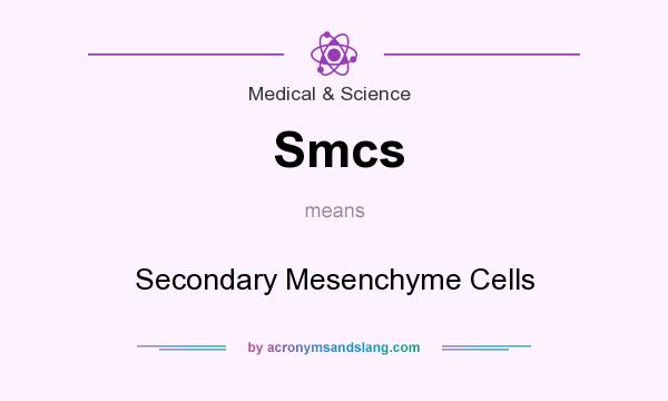 What does Smcs mean? It stands for Secondary Mesenchyme Cells