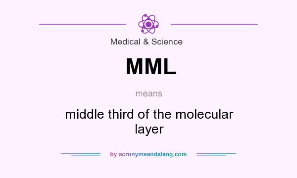 What does MML mean? It stands for middle third of the molecular layer