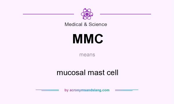 What does MMC mean? It stands for mucosal mast cell