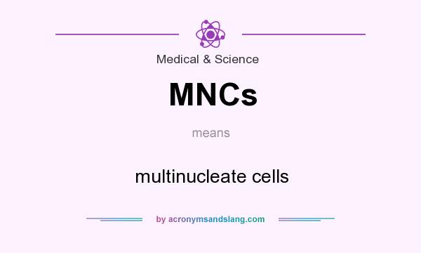 What does MNCs mean? It stands for multinucleate cells