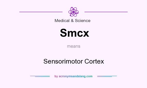 What does Smcx mean? It stands for Sensorimotor Cortex