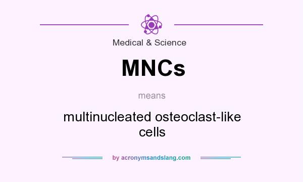 What does MNCs mean? It stands for multinucleated osteoclast-like cells