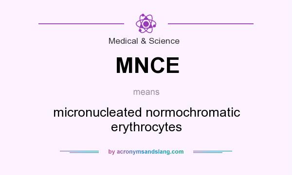 What does MNCE mean? It stands for micronucleated normochromatic erythrocytes
