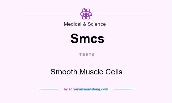 What does Smcs mean? It stands for Smooth Muscle Cells