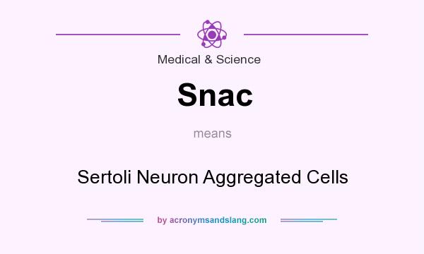What does Snac mean? It stands for Sertoli Neuron Aggregated Cells