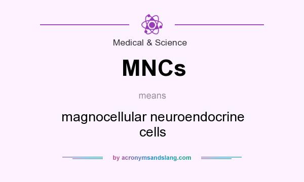 What does MNCs mean? It stands for magnocellular neuroendocrine cells