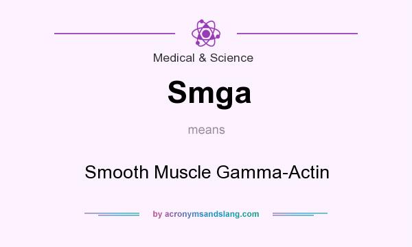 What does Smga mean? It stands for Smooth Muscle Gamma-Actin