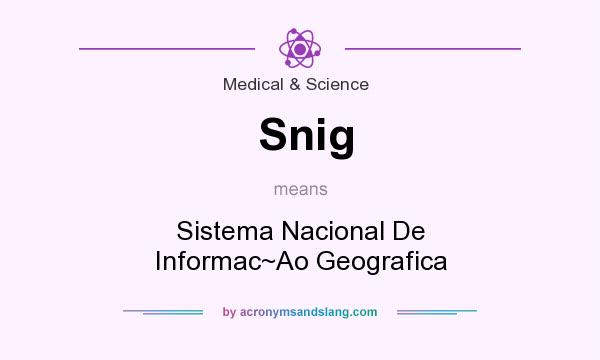 What does Snig mean? It stands for Sistema Nacional De Informac~Ao Geografica