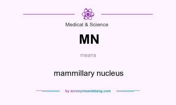 What does MN mean? It stands for mammillary nucleus