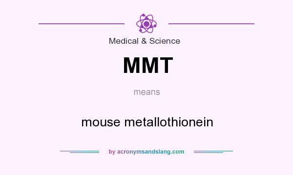What does MMT mean? It stands for mouse metallothionein