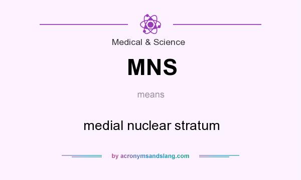 What does MNS mean? It stands for medial nuclear stratum