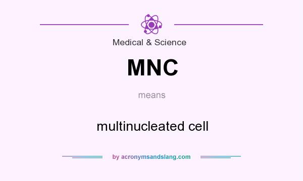 What does MNC mean? It stands for multinucleated cell
