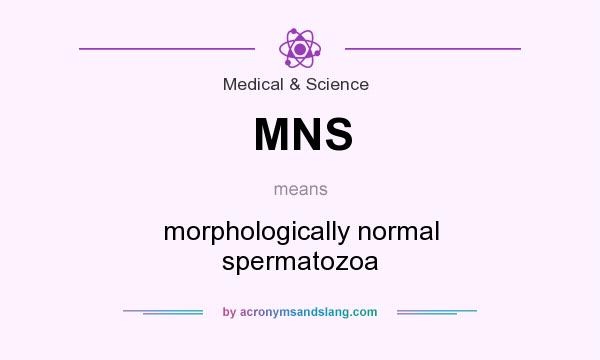 What does MNS mean? It stands for morphologically normal spermatozoa
