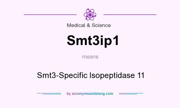 What does Smt3ip1 mean? It stands for Smt3-Specific Isopeptidase 11
