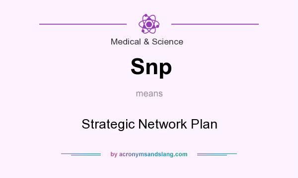 What does Snp mean? It stands for Strategic Network Plan