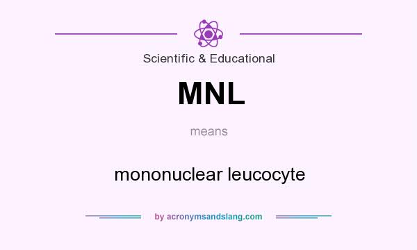 What does MNL mean? It stands for mononuclear leucocyte