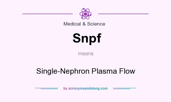 What does Snpf mean? It stands for Single-Nephron Plasma Flow
