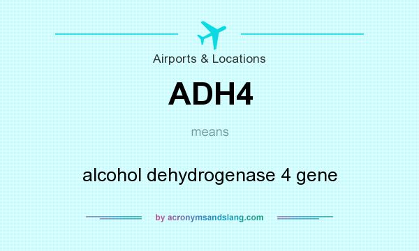 What does ADH4 mean? It stands for alcohol dehydrogenase 4 gene