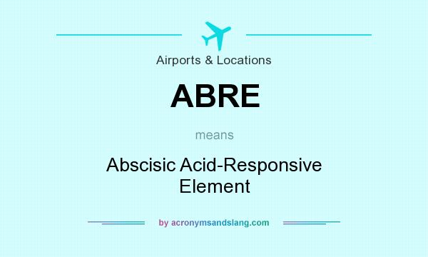 What does ABRE mean? It stands for Abscisic Acid-Responsive Element