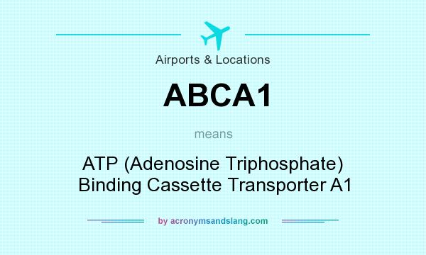 What does ABCA1 mean? It stands for ATP (Adenosine Triphosphate) Binding Cassette Transporter A1