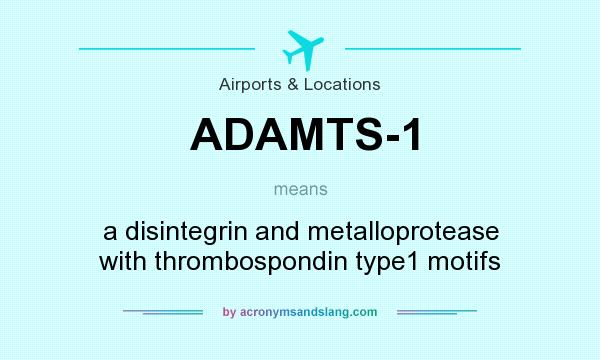What does ADAMTS-1 mean? It stands for a disintegrin and metalloprotease with thrombospondin type1 motifs