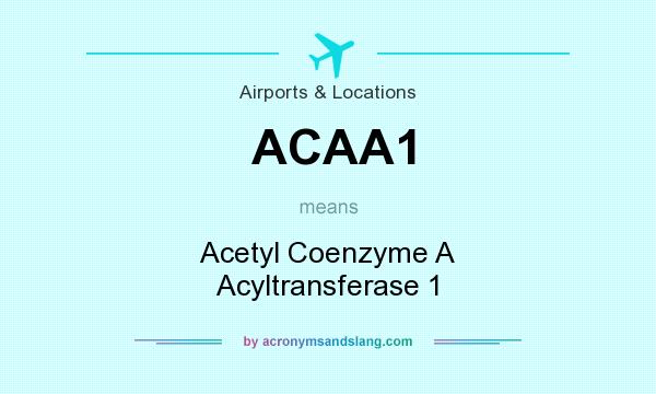 What does ACAA1 mean? It stands for Acetyl Coenzyme A Acyltransferase 1