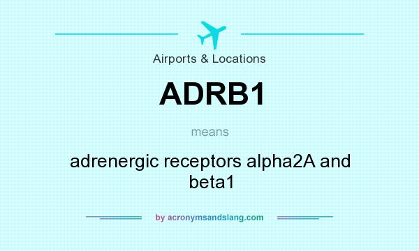 What does ADRB1 mean? It stands for adrenergic receptors alpha2A and beta1