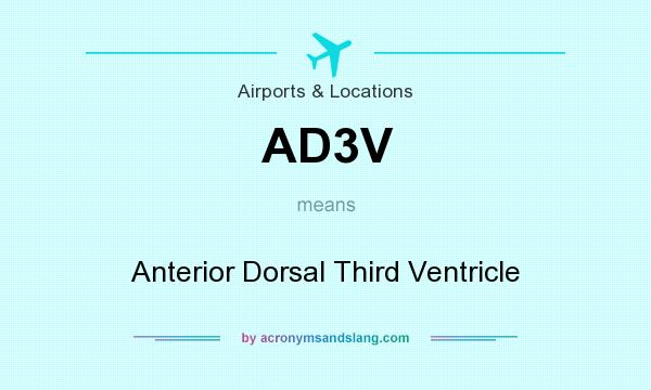 What does AD3V mean? It stands for Anterior Dorsal Third Ventricle