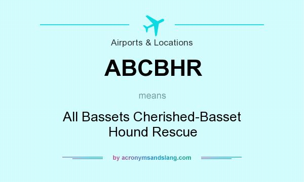 What does ABCBHR mean? It stands for All Bassets Cherished-Basset Hound Rescue