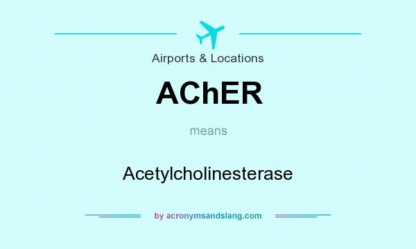 What does AChER mean? It stands for Acetylcholinesterase