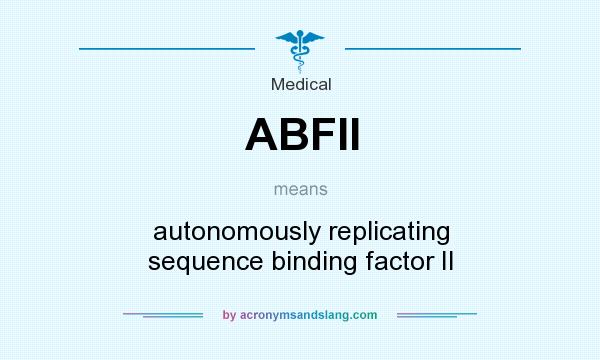 What does ABFII mean? It stands for autonomously replicating sequence binding factor II