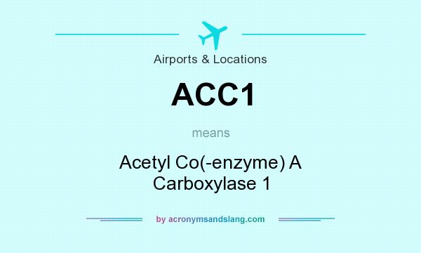 What does ACC1 mean? It stands for Acetyl Co(-enzyme) A Carboxylase 1