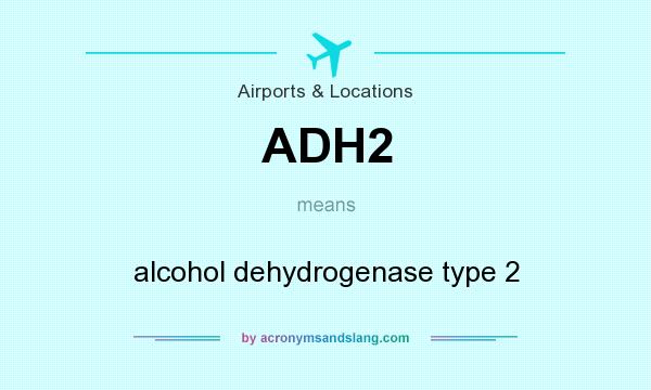 What does ADH2 mean? It stands for alcohol dehydrogenase type 2