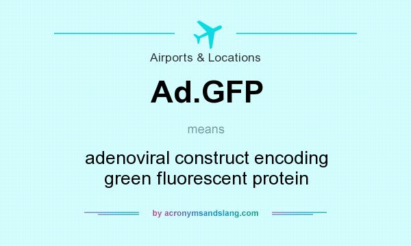 What does Ad.GFP mean? It stands for adenoviral construct encoding green fluorescent protein