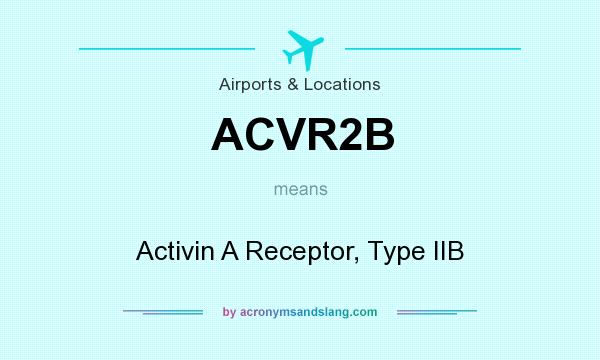 What does ACVR2B mean? It stands for Activin A Receptor, Type IIB
