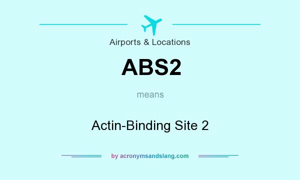 What does ABS2 mean? It stands for Actin-Binding Site 2