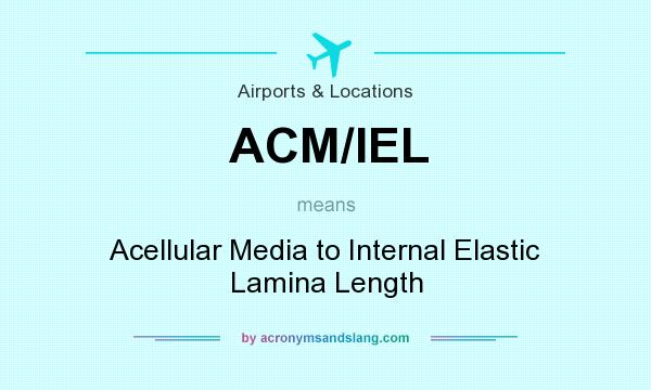 What does ACM/IEL mean? It stands for Acellular Media to Internal Elastic Lamina Length